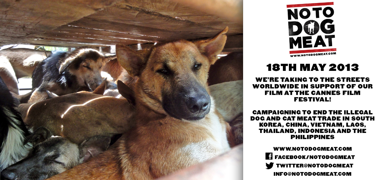 NO TO DOG MEAT COMPRESSED